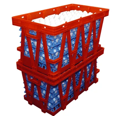 پلاسٹک انڈے کا ٹرانسپورٹ باکس